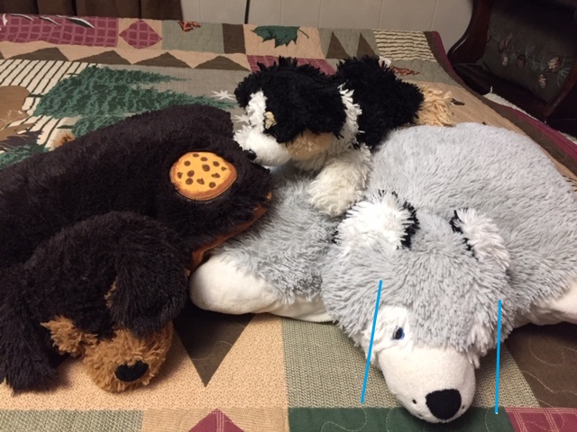 3 little Puppies